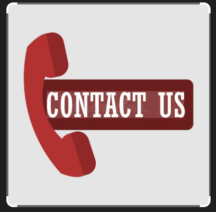 YOUMI Contact Us